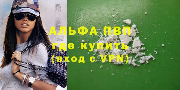 прущие грибы Семикаракорск