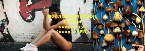стафф Алексеевка