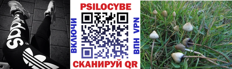 Псилоцибиновые грибы Magic Shrooms  Бабушкин 